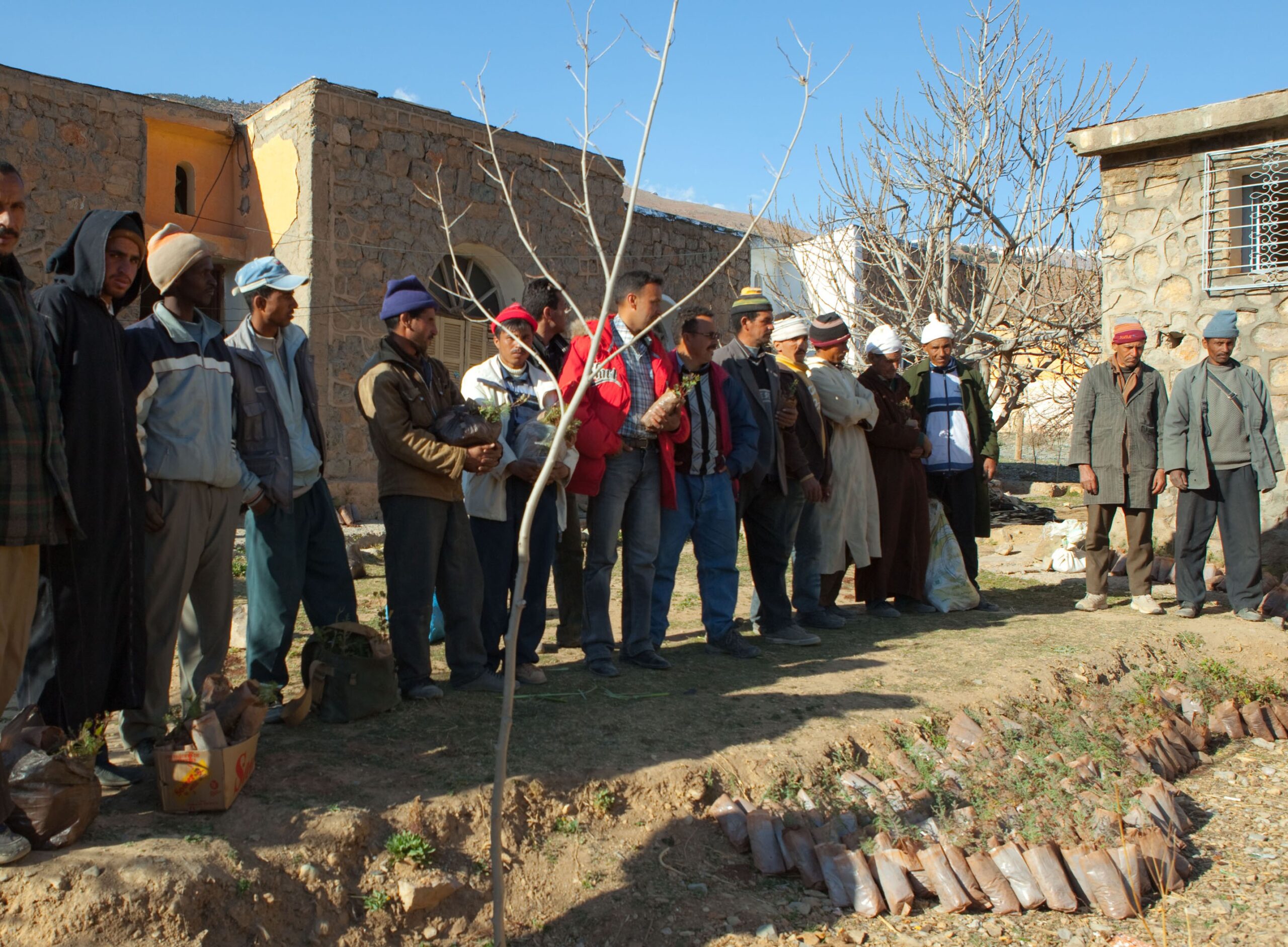 Distribution d'arbres fruitiers aux villageois dans le cadre du reboisement